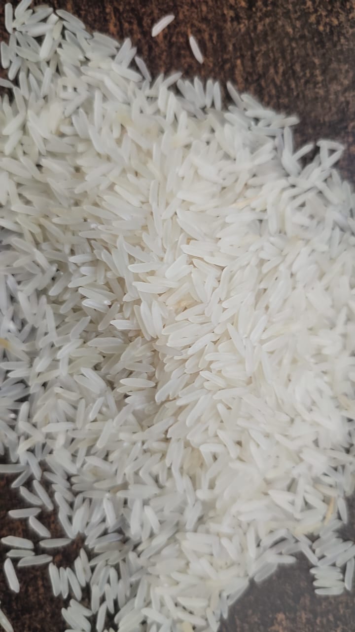 WhatsApp Image 2025-07-10 at 11.03.43 AM.jpeg